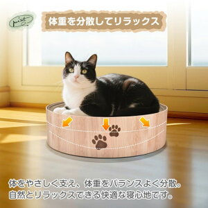 y[z܂Ƃ L܌ Lp܂Ƃ{E L̒ܕ ی^܂Ƃ ی^ 蔫` _{[ 42.5cm JXoɂ ϋv  Sf VRf TCNf @\ ȃXy[X 