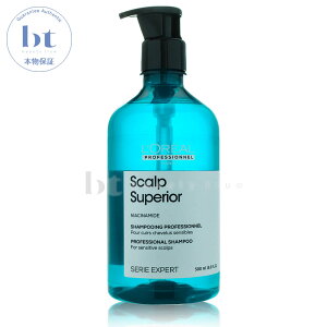 A ZG GNXp[g XJv X[yA Vv[ 500mly({BEl)z ZG ZXoX̌pi@PA@guPA