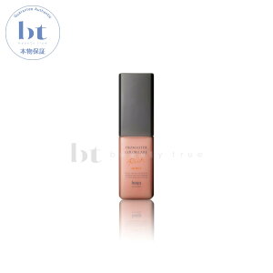 yő2000~OFFN[|zzz z[[ v}X^[J[PA b` AEgoXg[gg CXg 80ml y({BEl)z