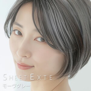 X}CQ[g V[gGNXe [O[ 1 y(S)z V[gGNXe V[g^CvGNXe ڃGNXe {[AbvGNXe BGNXe yʃGNXe 