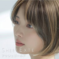 シートエクステ アッシュゴールド 1枚 【送料無料(全国)】 シートエクステ シートタイプエクステ 分け目…