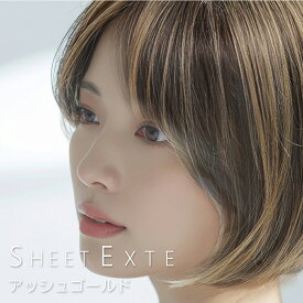 シートエクステ アッシュゴールド 1枚 【送料無料(全国)】 シートエクステ シートタイプエクステ 分け目エクステ ボリュームアップエクステ 白髪隠しエクステ 軽量エクステ 薄い 薄型 軽い 軽量 自分で装着
