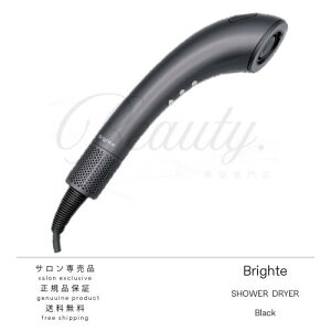 �y���K�i�z Brighte �u���C�g �V�����[�h���C���[ BRT-SD173 �w�A�h���C���[ �i�m�~�X�g���� �啗�� ���� �y�� ���e�Ɠd ����