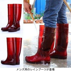 THOM WILLS Cu[c Y JC hu[c ~ I[V[Y C jp J u[c CV[Y Ou[c C ~J 