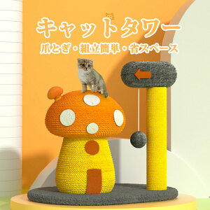 Lbg^[ L ܂Ƃ ^ ~j ߂Ƃ ܌ ܖ }bV[̌` VR[v ؐ u {[ t ^s ]|h~ 萫 gȒP ȃXy[