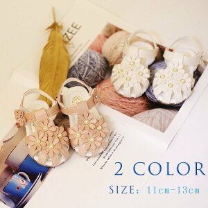 THOM WILLS xr[ T_ V[T_  LbY qC WjA r[`T_ V[Y AEghA ~ ʋC ܐ U  Mtg v[g av[g \ 