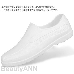 THOM WILLS RbNV[Y ~[C ƌC Lb` SC HX EVAf y ϖ ϊ h R hL ɂ Ռz CV[Y pvX