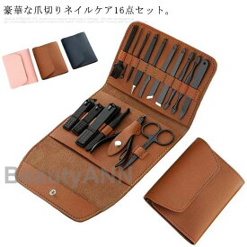 16点セット 爪切り セット ネイルケアセット ステンレス ネイルツール ネイル用品 プッシャー ネイルニッパー 甘皮取り ニキビ取り針 手足爪磨き 眉用ハサミ 眉用クリップ 耳かき プレゼント ギフト