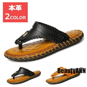 THOM WILLS V gOT_Y {vT_ ɂȂ  U[ C r[`T_ 傫TCY ubN CG[ v[g Mtg