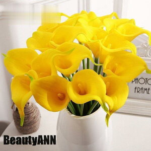 V \[vt[ 25{Zbg EGfBOu[P   ԉ u[P  ԑ uC_u[P EFfBO AWg A[gt[ CeAt   