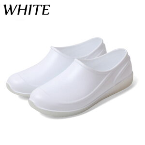 RbNV[Y h h h  Y fB[X ~[C ƌC Cu[c CV[Y JC JWAV[Y  h C h y ɂȂ ₷ Jp 