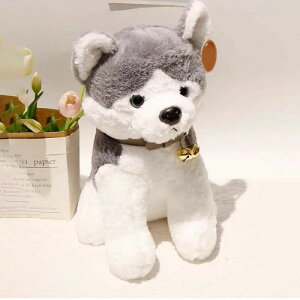 [ ʂ  ʂ X[p[ʂݏ_炩 YQ  C @\ \t@[w ӂӂ ʔMtgEjE NX}X