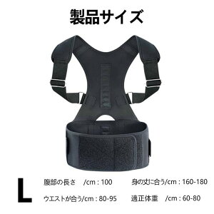 THOM WILLS Ճxg Ջ  䂪  ObY  xg NbV RZbg P Ջxg xg