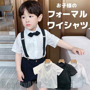 V tH[}Vc j̎q qVc CVc 80%   Vc \ w j̎q LbY am ܎O  a t tH[} zCg ubN j v