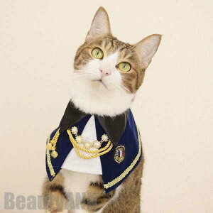 V ybgp|  L  { [X `[J[ ANZT[   t ߂ ʐ^B蓹 LOtHg  ybgpi Be v[g