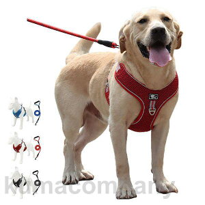 n[lX [h p ^ ^xXg ybg ʋC [h n[lXZbg hbO U xXg^ {  EȒP Ռz Oo  S