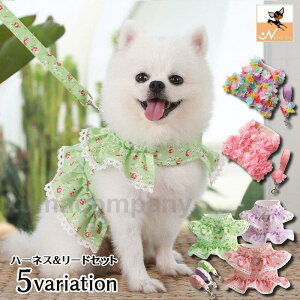 [h n[lX 2_Zbg xXgn[lX ybgObY ybgpi p Lp [V UR UObY o R ԕ t[v