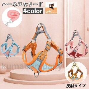 n[lX [h 2_Zbg p Lp ybgp ˃e[v  obN DJ UR Vv JWA  킢   L