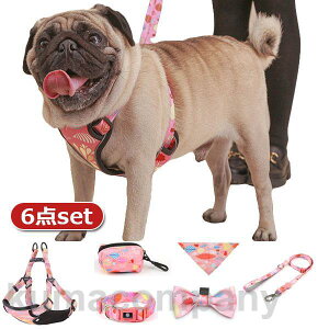  [h lN^C gїpݑ 悾ꂩ n[lX ybgp 6_Zbg p ^ ^ ^  킢 U EȒP Ռz