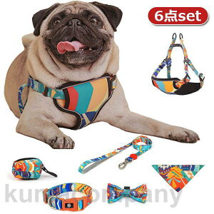  [h lN^C gїpݑ 悾ꂩ n[lX ybgp 6_Zbg p ^ ^ ^  킢 U EȒP Ռz