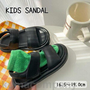 THOM WILLS THOM WILLS LbYt@bV T_ LbY qp j̎q ̎q C tFCNU[ U[ }WbNe[v xN TCY\ ؂