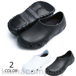 THOM WILLS RbNV[Y ʋC h _ ~[ ƌC ϖ ~ ϋv ϖՐ y [N} C C Lb`V[Y ɂ ₷