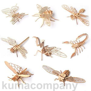 ؐ pY   HLbg w j̎q ċx 3d ̃pY gݗăLbg v[g (8)