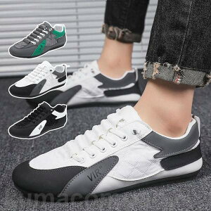 THOM WILLS Xj[J[ Y jOV[Y fB[X y ʋC X|[cV[Y EH[LO  V[Y jp