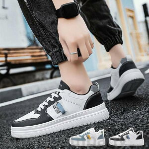 THOM WILLS Xj[J[ Y jOV[Y fB[X y ʋC X|[cV[Y EH[LO  V[Y jp