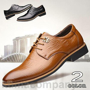 THOM WILLS Y tH[}V[Y rWlXV[Y ₷vC YV[Y amC vCtH[}  ʋ dp