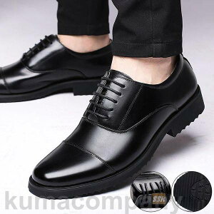 THOM WILLS tH[}V[Y rWlXV[Y Y amC vC Ȃ YV[Y PUvC dp Ǝ @\ ʋ