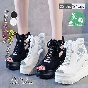 THOM WILLS T_ fB[X ăT_  C T_ nCq[ r ʋC Cq[ ₷ ɂȂ  s ][g l