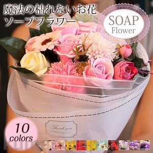 \[vt[ ԑ Mtg u[P {bNXt[ v[g  [Y J[l[V Ђ܂ t[ TvCY