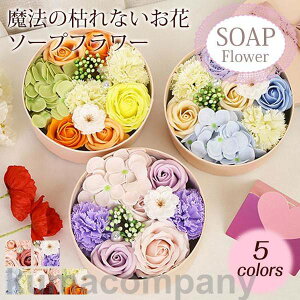 \[vt[ ԑ Mtg u[P {bNXt[  [Y J[l[V t[ TvCY Ό ͂Ȃ