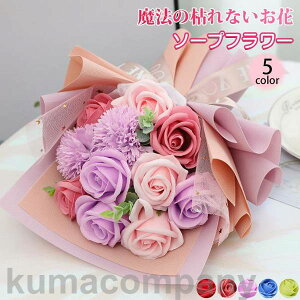 o^C ̓ \[vt[ ԑ Mtg u[P {bNXt[  V t[ TvCY Ό ͂Ȃ6