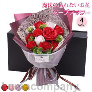 o^C ̓ \[vt[ ԑ Mtg u[P {bNXt[  V t[ TvCY Ό ͂Ȃ15