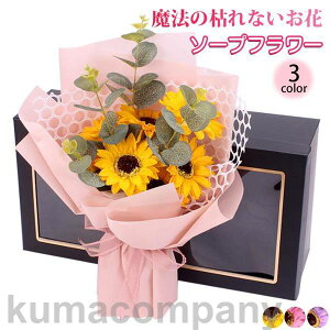 o^C ̓ \[vt[ ԑ Mtg u[P {bNXt[  V t[ TvCY Ό ͂Ȃ23