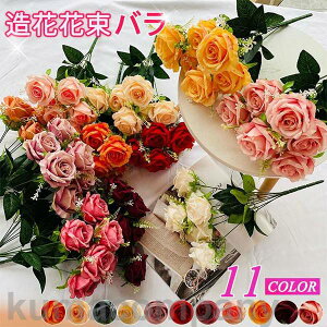 o^C o CeA t[  G i`  ԑ u[P tFCNO[ v[a