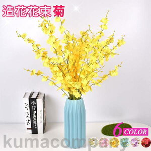 o^C e CeA t[  G i`  ԑ u[P tFCNO[ v[