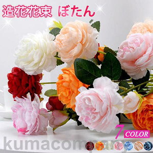 o^C ڂ񑢉 CeA t[  G i`  ԑ u[P tFCNO[ v