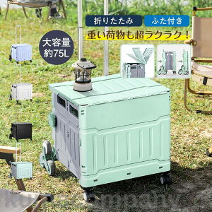 ܂肽 ӂt y Kio  Rei J[g VbsOJ[g J[g L[  AEghA X|[c W[ ֗