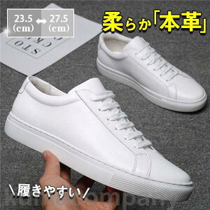 THOM WILLS IbNXtH[hV[Y Y JWA v EH[LO C {v Xj[J[ AEghA ʊw ʋ zCg  am  t H