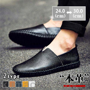 THOM WILLS Xb| Y {v 傫TCY bV F [t@[ _炩 ԉ^] ʋC C ʊw ʋ t H ~  K rWlX