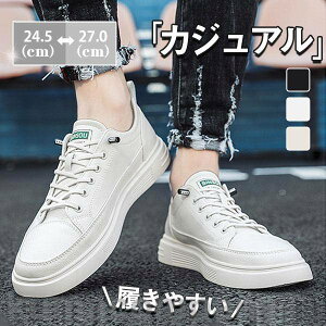 THOM WILLS IbNXtH[hV[Y Y JWA EH[LO C Xj[J[ AEghA ʊw ʋ  am  t H zCg ubN