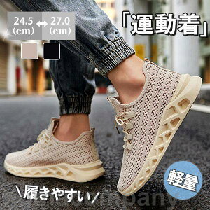 THOM WILLS jOV[Y Y Xj[J[ EH[LO X|[c C K n ʊw ʋ ^ WMO AEghA  y U ʋC