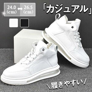 THOM WILLS IbNXtH[hV[Y Y JWA EH[LO C Xj[J[ nCJbg NbV WMO ʊw ʋ   t H