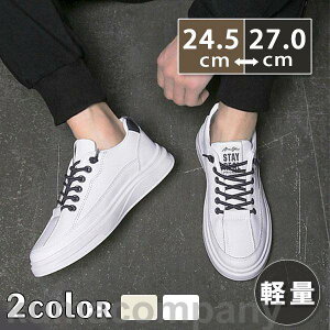 THOM WILLS Xj[J[ Y EH[LO JWAV[Y [N Xb| C ʊw ʋ  t H ~ ʋC WMO St X|[c