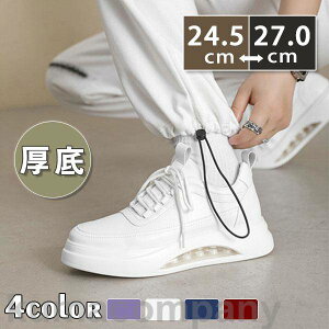 THOM WILLS Xj[J[ Y EH[LO JWAV[Y X^CbV n  C ʊw ʋ t H ~ K zCg  AEghA