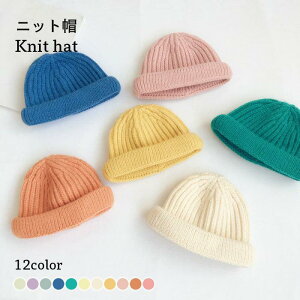 jbgX LbY Xq jbgLbv H~ ̎q j̎q Vv n 킢 g JWA P[u҂ h v[g WjA o^C v[g