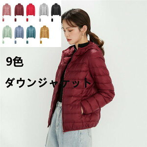 _ER[g _EWPbg fB[X y ^ y _EWPbg _EWPbg  _ER[g h ꂢ JWA ~ o^C v[g